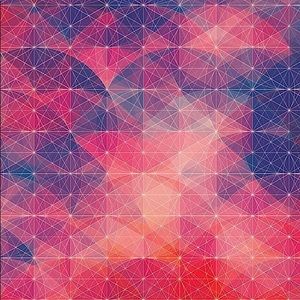 Meet your Posher, Brynn